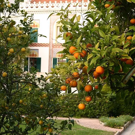 Guest house Belle Rive Cannes